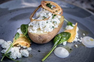 포즈난 야자수 온실(팔미아르니아 포즈난스카)